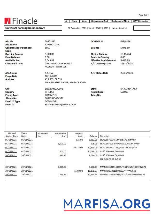 Blank India Finacle bank statement word example